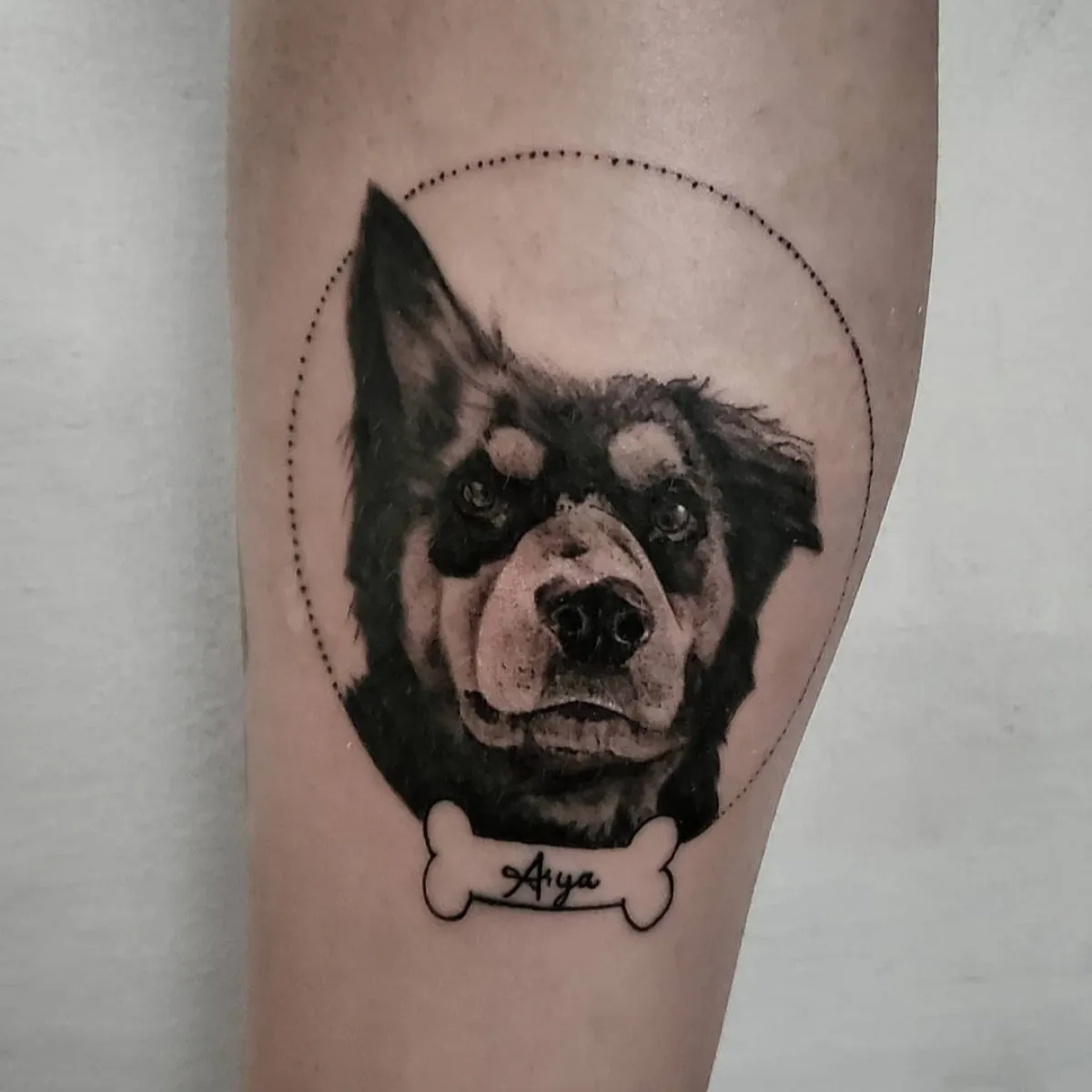 Perro en realismo con sombras