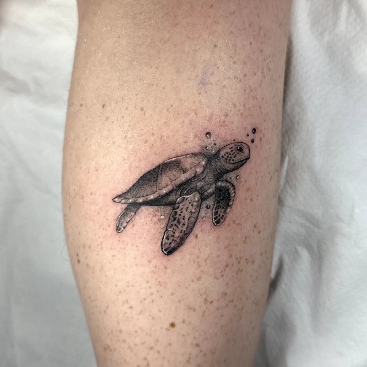 Tortuga en puntillismo de arrastre